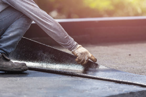 Professional Basement Waterproofing technician working in Brundidge, AL